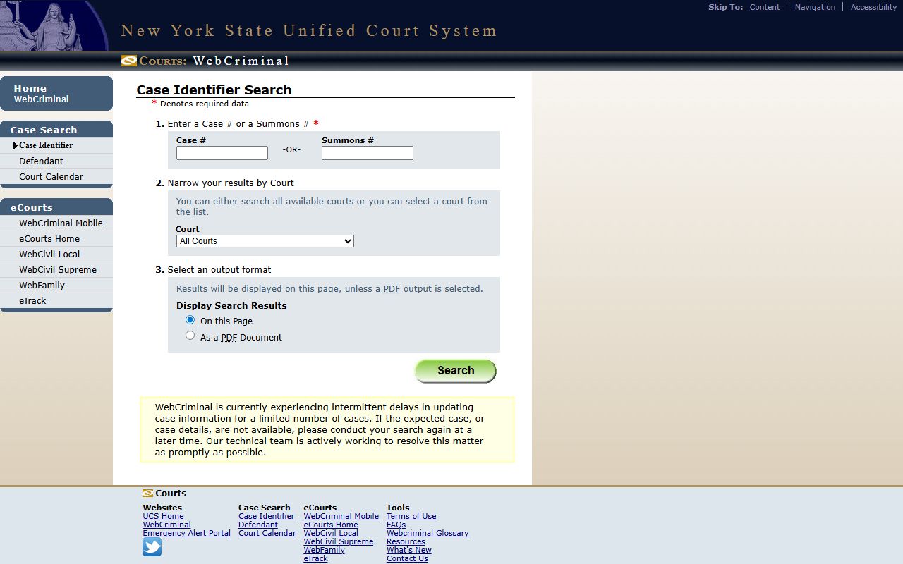 Wayne County WebCriminal case and summons court records search fields after arrest
